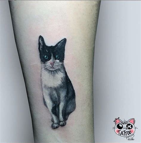 Kedi Dövmesi Cat Tattoo Animal tattoo Tattoos Animals