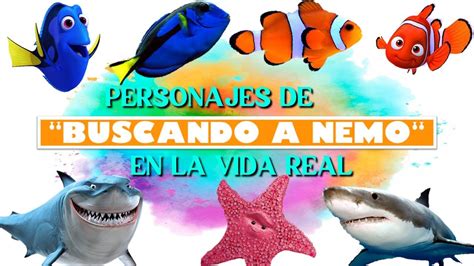 Personajes De Buscando A Nemo En La Vida Real Youtube