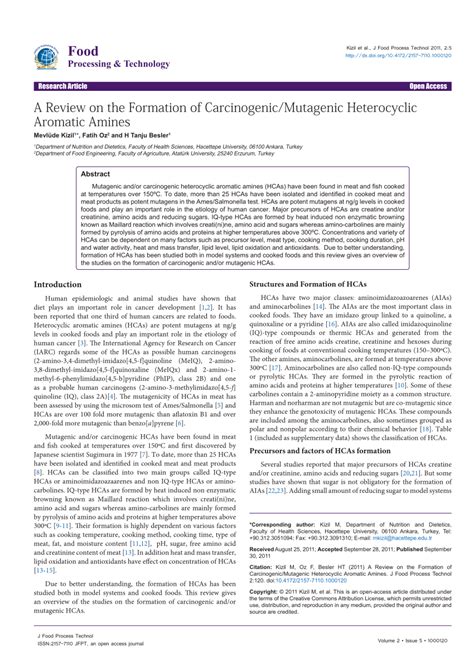 Pdf A Review On The Formation Of Carcinogenicmutagenic Heterocyclic