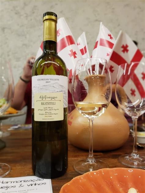 Você já conhece os vinhos da Georgia Blog Vinho Tinto