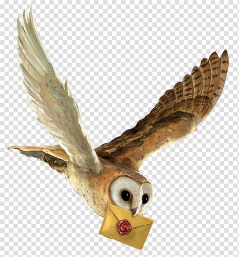 Brown Owl With Brown Envelope Harry Potter And The Philosopher S