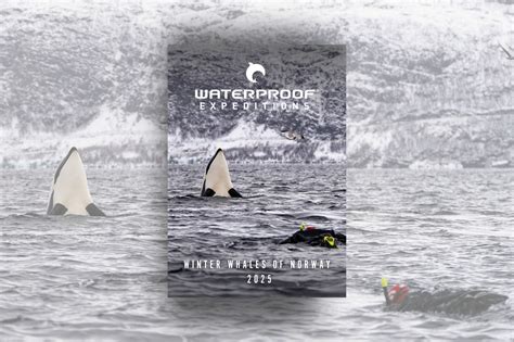 Brochure Winter Whales Of Norway Waterproof Expeditions