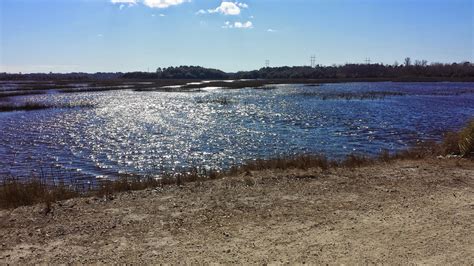 borrowed heaven: Weekend Exploring: The Greenway