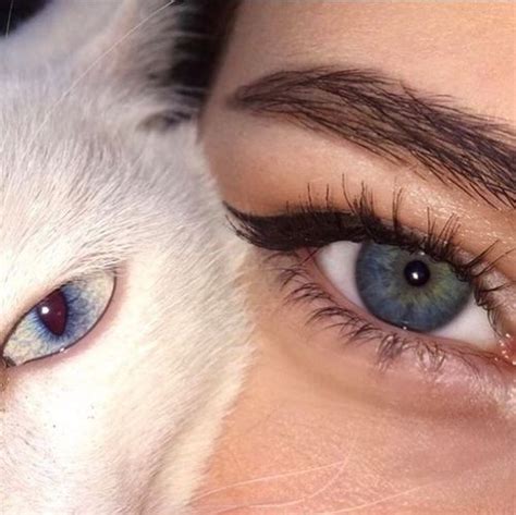 Cat Eyes And Girl Image Aesthetic Eyes Aesthetic Makeup Aesthetic Girl Eye Photography