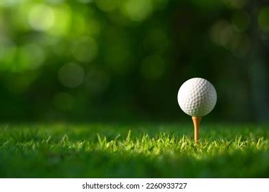 Searching Golf FREE Stock Photos Picjumbo