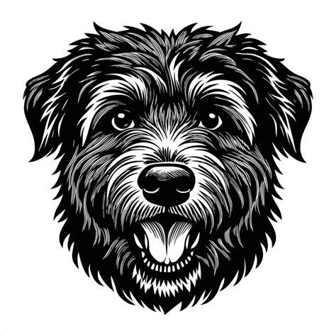 Bouvier Des Flandres Happy 55793094 Vector Art At Vecteezy