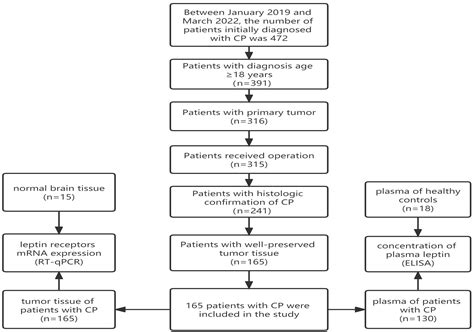 Biomolecules Free Full Text Clinical Significance Of Plasma Leptin