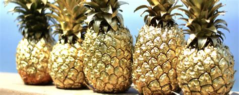 Shortlisted For A Golden Pineapple Award — Tinuno