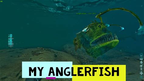 Ark Survival Ascended Got K Silica Pearls I Tamed First Anglerfish