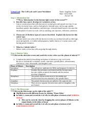 Virtual Lab The Cell Cycle And Cancer Worksheet Virtual Lab The Cell