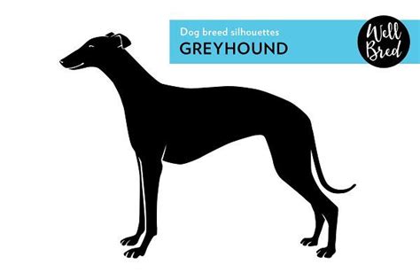 Greyhound Vector Silhouette By Wellbreddesign Greyhound Breed