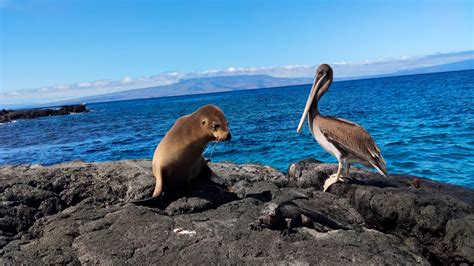 Galapagos Expedition - Land Based Tours