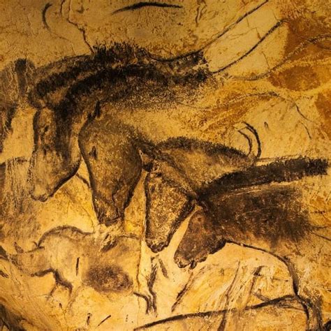 These paintings in Chauvet-Pont-d'Arc Cave in France are more than 36,000 years old. : r/ArtHistory