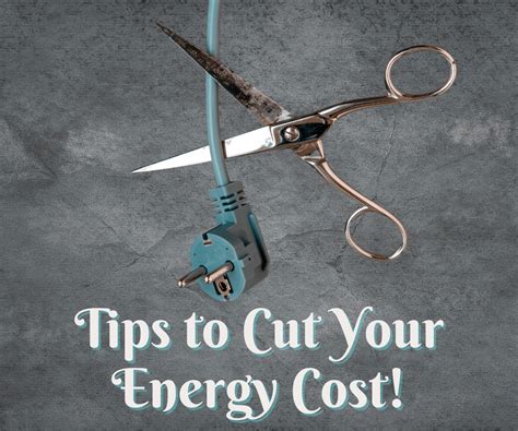 News You Can Use National Cut Your Energy Costs Day The Bear Of