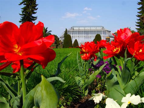 Berlin Botanischer Garten Gewaechshaus Martina Miethig