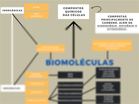 SOLUTION Mapa Mental Grupo 16 Bioqu Mica Studypool