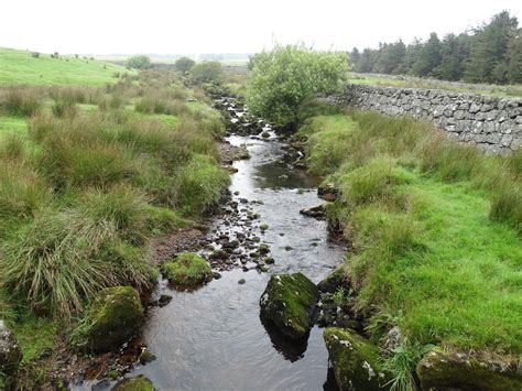 Journeying along the River Dart | Westcountry Rivers Trust