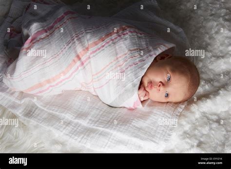 Newborn Baby Swaddled In Blanket Stock Photo Alamy