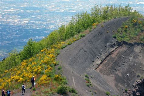 Ercolano Dopo Gli Incendi Nel Parco Nazionale Del Vesuvio Domani