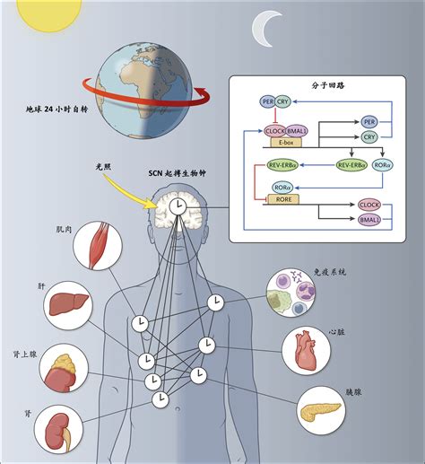 Nejm医学前沿