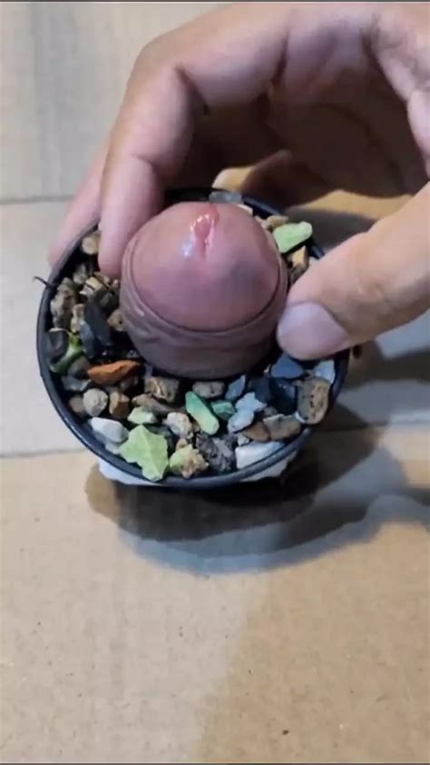 Schwulen Creator Sex Videos Von Xydio Kostenlose Nacktpornos Xhamster