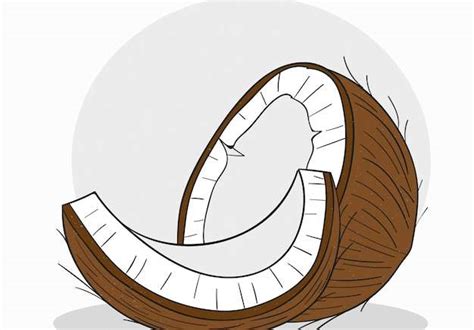 Hình Vector Biểu Tượng Phẳng ẩm Thực Việt Nam Và Singapore Thư Viện