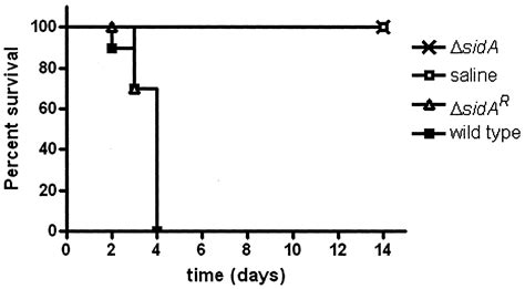 The Aspergillus Fumigatus Siderophore Biosynthetic Gene Sida Encoding