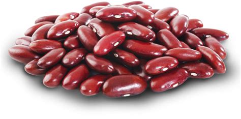 Free Beans Transparent Download Free Beans Transparent Png Images