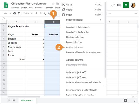 Ocultar Filas Y Columnas Customguide