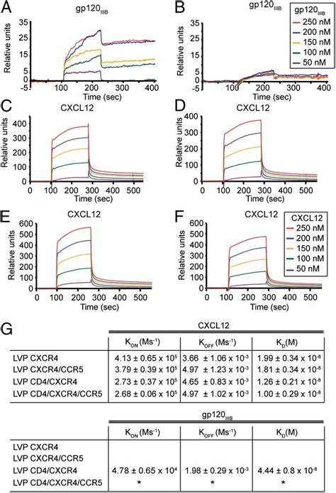 Ccr5cd4cxcr4 Oligomerization Prevents Hiv 1 Gp120iiib Binding To The