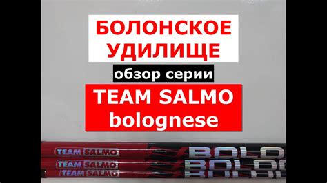 БОЛОНСКИЕ удилища TEAM SALMO BOLOGNESE | ОБЗОР БОЛОНСКИХ УДИЛИЩ ТИМ ...