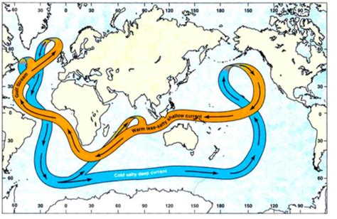 Thermohaline Circulation Flashcards | Quizlet