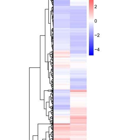 The Hierarchical Clustering For The Key Differentially Expressed Genes Download Scientific