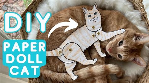 Making A Paper Doll Cat Youtube