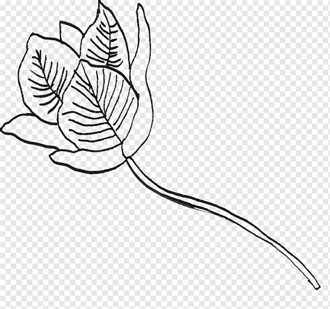 Flor Blanco Y Negro Hoja Dibujo Tallo De La Planta Arte Lineal