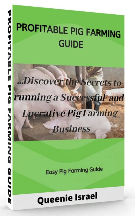 How To Start Pig Farming Business Agriculture Nigeria