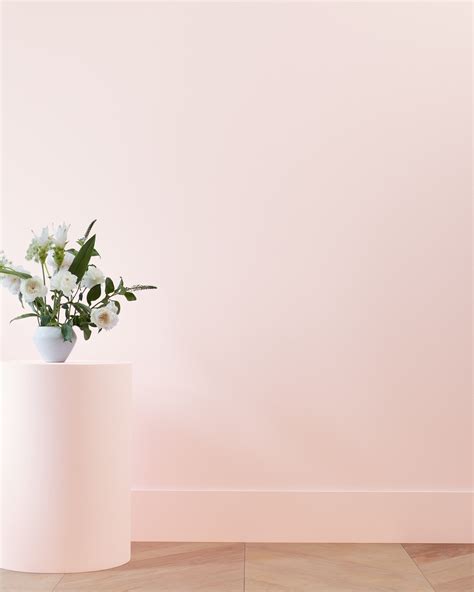 Strawberry Yogurt Benjamin Moore Pink Paint Benjamin Moore