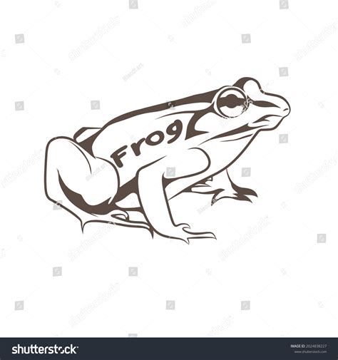 Frog Hand Drawn Sketch Adult Coloring Stock Vector (Royalty Free ...