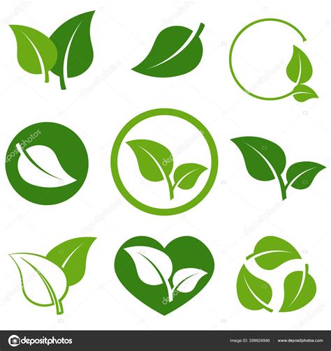 Fresh Green Leaves Icon Set Isolated White Background Green Leaf Stock