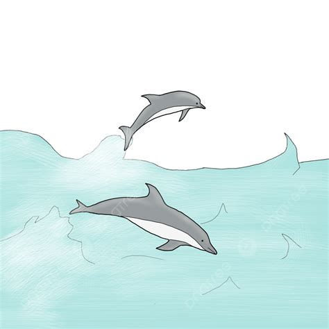 Dolphin Jumping On The Surface Dolphin Ocean Play PNG Transparent