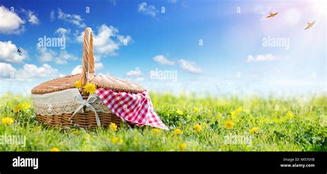 Picnic Basket On Meadow Stock Photo Alamy
