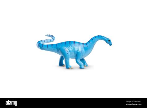 Diplodocus Dinosaur White Background Hi Res Stock Photography And