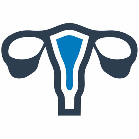 Female Gynecology Reproductive Uterus Vagina Icon Download On Iconfinder