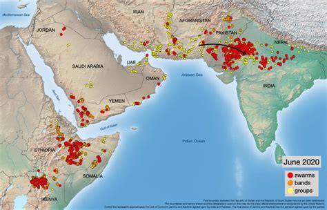 Current Biblical Locust Plague July 8 2020 Online Ministries