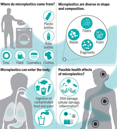 Microplásticos Y Salud Humana Productor De Sostenibilidad