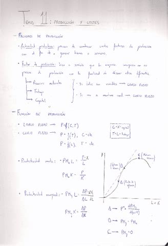 Tema Produccion Y Costes Pdf