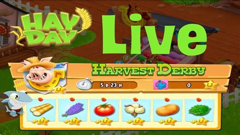 118 Hay Day Live Harvest Derby Level 145 Weizen Farmen YouTube