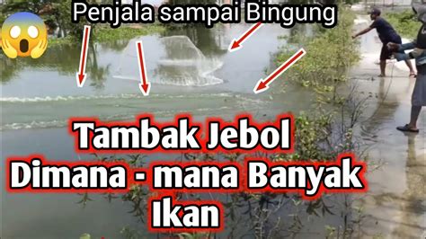 Penjala Sampe Bingung Jala Ikan Di Spot Banjiran Lamongan Setiap