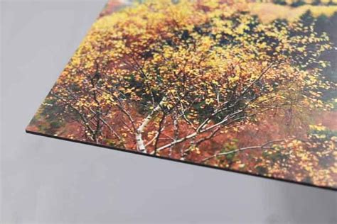 Dibond Printing | ACM Panel Board | Brighton & Hove Sussex