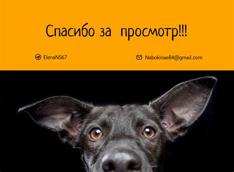 Дизайн сайта on Behance